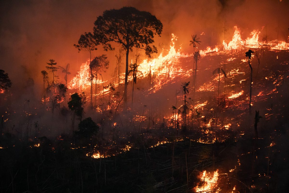 Floresta em chamas: dados do Inpe mostram que Amazônia e Cerrado registraram, em 2023, o maior número de queimadas para junho dos últimos 16 anos ( (Foto: Nilmar Lage/Greenpeace/30/08/2022).
