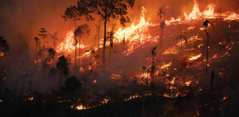 Floresta em chamas: dados do Inpe mostram que Amazônia e Cerrado registraram, em 2023, o maior número de queimadas para junho dos últimos 16 anos ( (Foto: Nilmar Lage/Greenpeace/30/08/2022).