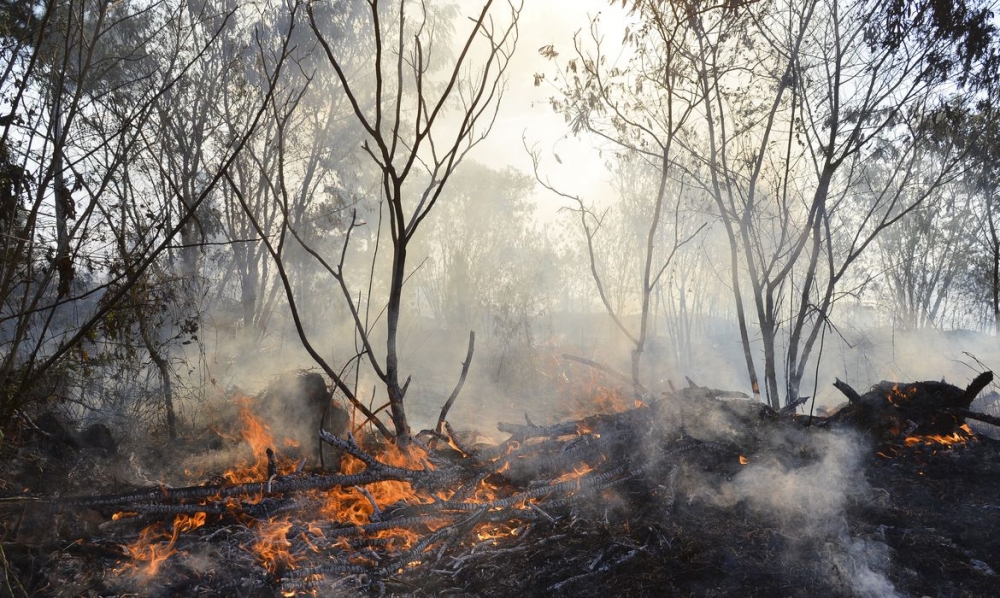 Fogo destrói vegetação no Cerrado: pesquisadores desenvolveram sistema capaz de prever incêndios no bioma quase em tempo real (Foto: Valter Campanato / Agência Brasil)