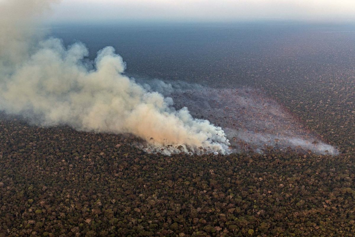 Queimada em desmatamento recente na Gleba Abelhas, floresta pública no município de Canutama, no sul do Amazona, área que, ao lado da Região Metropolitana de Manaus, concentraram focos de incêndio em agosto no estado (Foto: Marizilda Cruppe / Greenpeace - 03/08/2023)