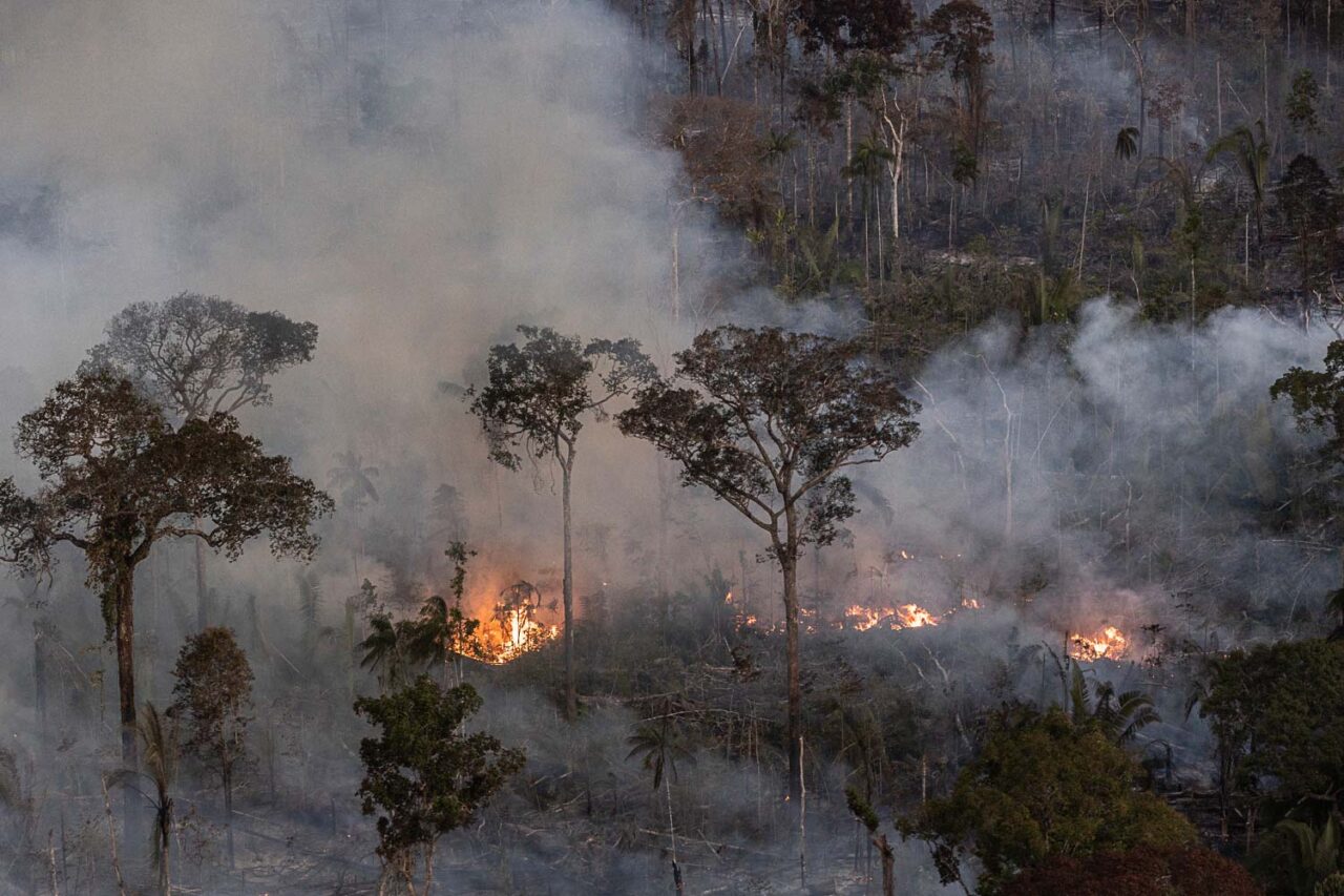 Incêndio na a Gleba Abelhas, floresta pública não destinada federal, no Sul do Amazonas: queda de queimadas no estado em agosto, mas aceleração na região (Foto: Marizilda Cruppe / Greenpeace - 03/08/2023)