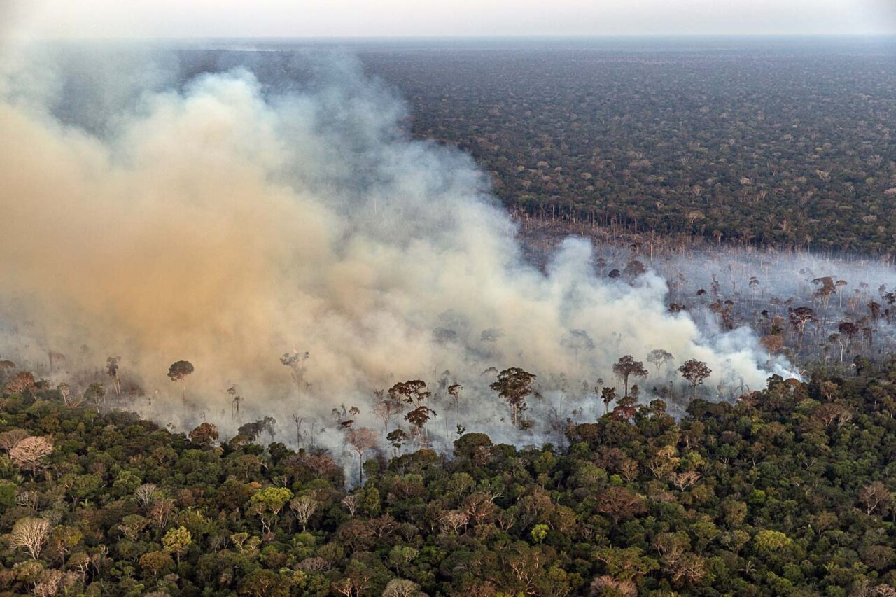 Fumaça de queimadas no município de Canutama, perto da TI Juma no Sul da Amazonas: pesquisadores criticam falta de ação do estado (Foto: Marizilda Cruppe / Greenpeace - 03/08/2023)