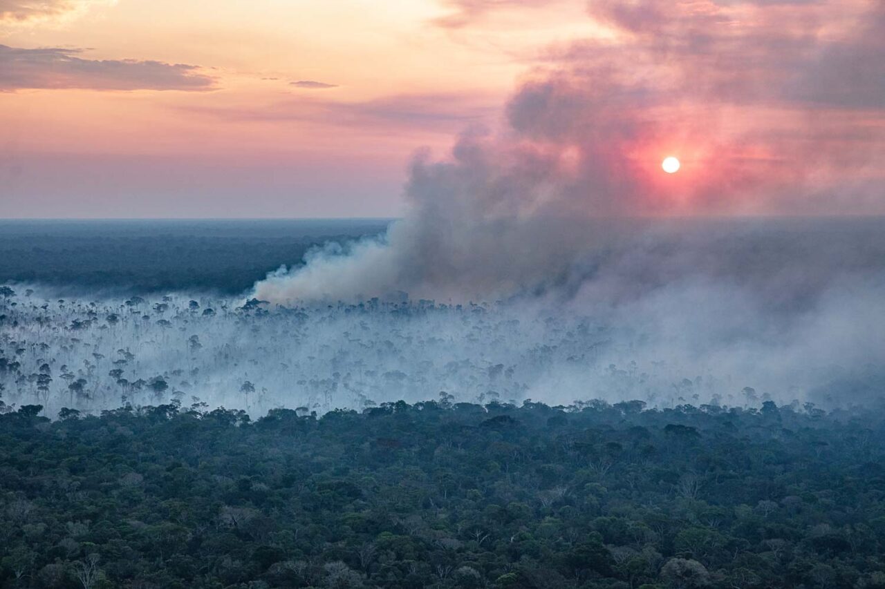 Incêndio florestal no Sul da Amazonas: impactos na saúde da população (Foto: Marizilda Cruppe / Greenpeace - 03/08/2023)