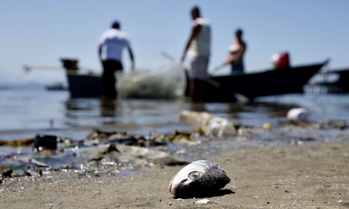 Pescadores na poluída Baía de Guanabara: perda de água com assoreamento de rios e despejo de resíduos nas baías ameaça pesca (Foto: Tânia Rêgo/Agência Brasil)