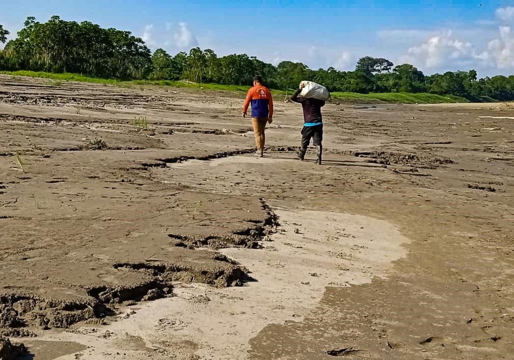 Cenário de seca em São Paulo de Olivença às margens do Rio Amazonas no sudoeste de estado: emergência para entrega de cestas básicas e água (Foto: Defesa Civil/AM)