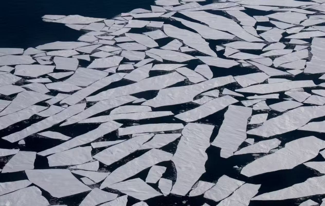 Camadas finas de gelo no mar da Antártica: no momento do seu máximo de setembro, a extensão do gelo marinho da Antártica estava quase 9% abaixo da mediana de 1981-2010 para esta época do inverno (Foto: Glenn Jacobson / Australian Antarctic Division)