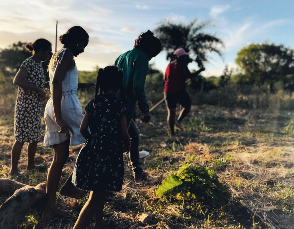 Produtoras agroecológicas no semiárido baiano: governos devem intensificar apoio a soluções reais e sustentáveis (Foto: André Michiles / ActionAid)