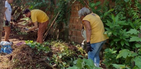 Horta urbana da Sementeira Esperança: alimentos frescos para ajudar a matar a fome na periferia (Foto: Arquivo Pessoal Maria José da Silva)