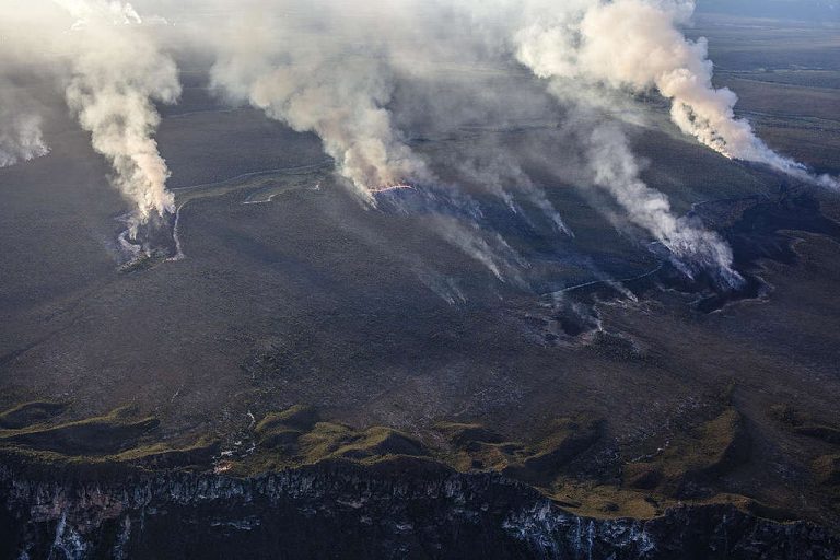 Área de Cerrado desmatada no Matopiba: Brasil perdeu quase 10 milhões de hectares de florestas em cinco anos, de acordo com MapBiomas (Foto: Marizilda Cruppe / Greenpeace)