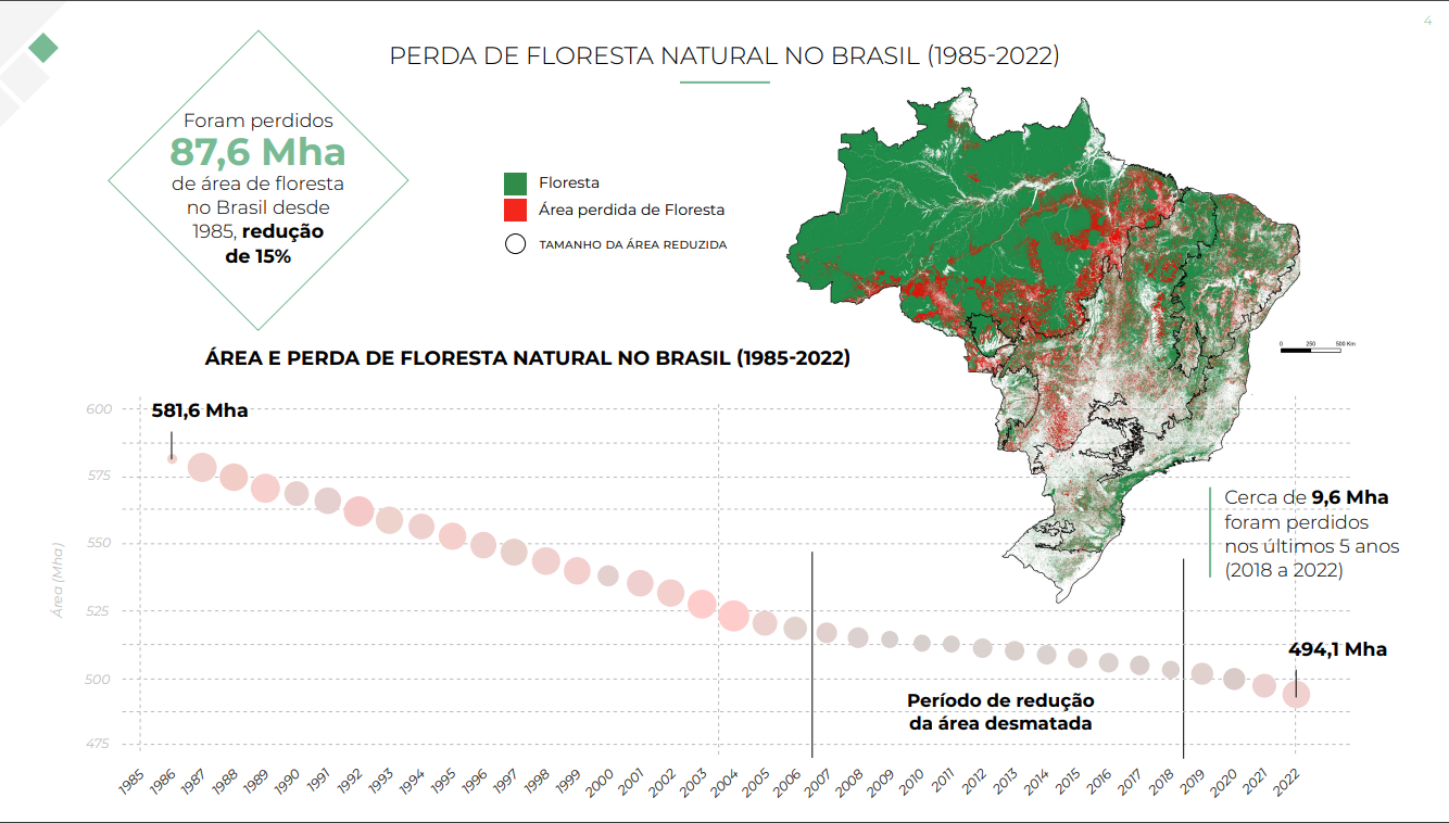 Perda de floresta natural no Brasil - 1985-2022 (Arte: MapBiomas)