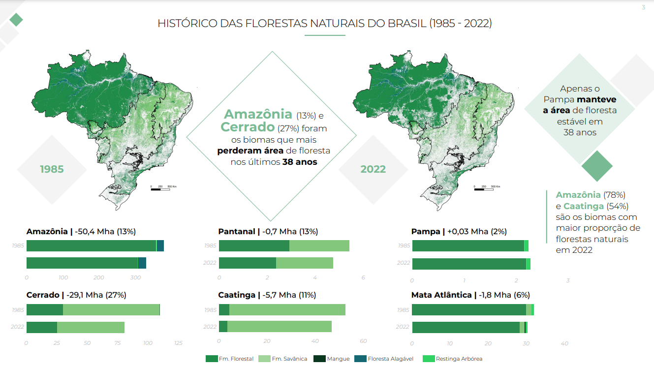 Histórico das florestas naturais no Brasil - 1985/2022 (Arte: MapBiomas)
