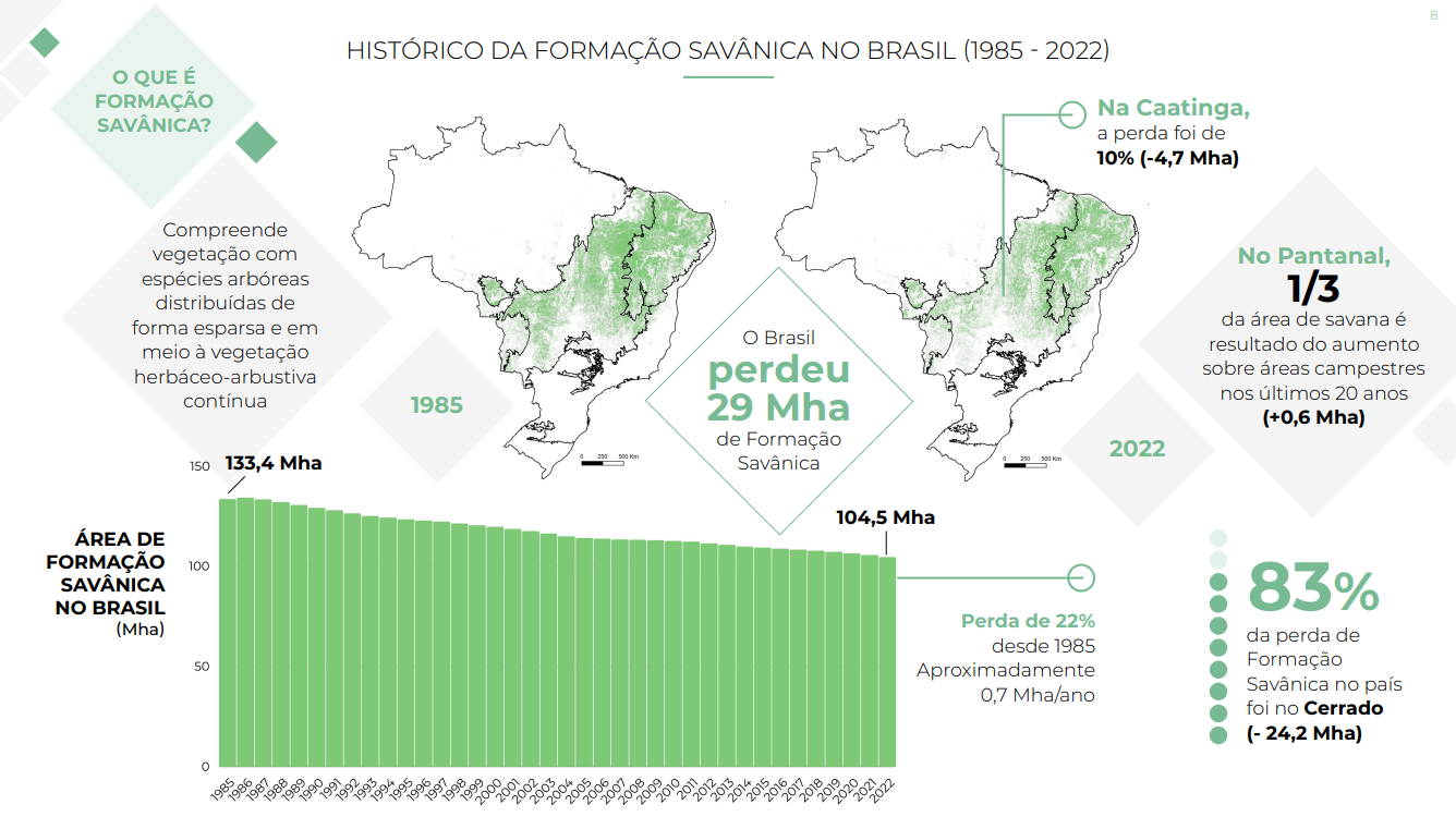 Histórico da formação savânica no Brasil (Arte: MapBiomas)