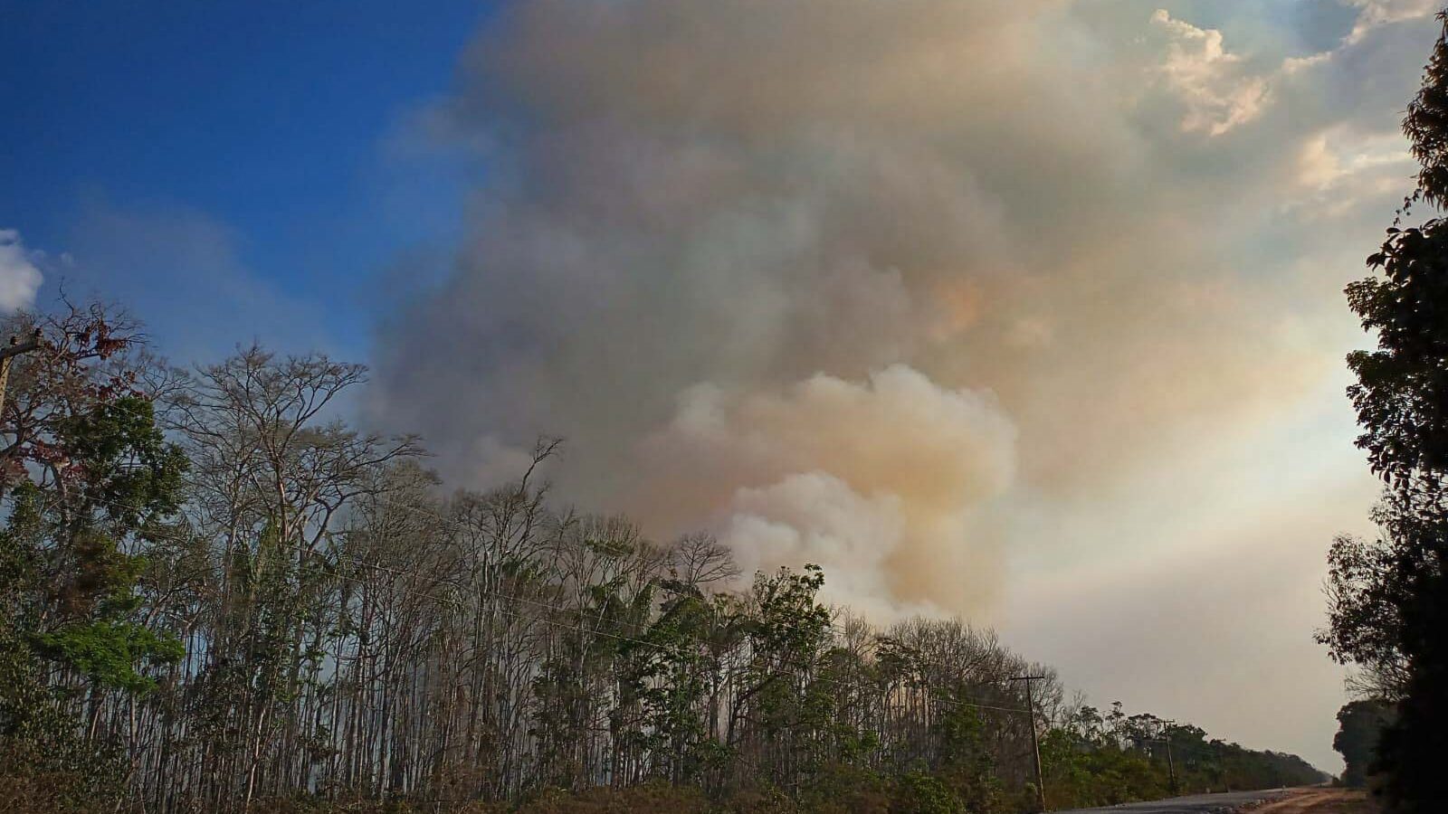 Queimadas no entorno da BR 319: quase 4 mil focos de incêndio no Amazonas em outubro (Foto: Carlos Durigan/WCS/Amazônia Real)