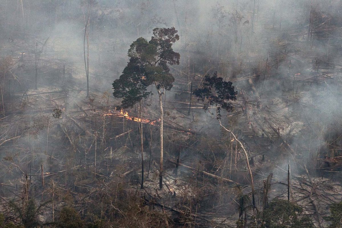 Queimada em desmatamento na Gleba Abelhas, floresta pública não destinada no sul do Amazonas: Brasil precisa cortar desmatamento pela metade até 2025 para cumprir meta (Foto: Marizilda Cruppe/Greenpeace - 27/08/2023)