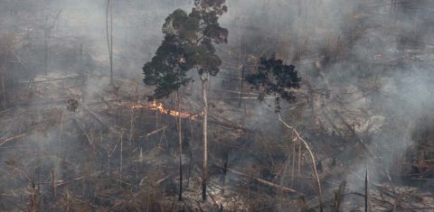 Queimada em desmatamento na Gleba Abelhas, floresta pública não destinada no sul do Amazonas: Brasil precisa cortar desmatamento pela metade até 2025 para cumprir meta (Foto: Marizilda Cruppe/Greenpeace - 27/08/2023)