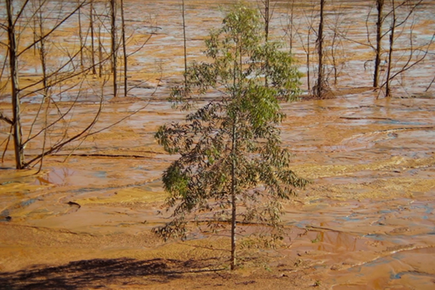 Cenário de devastação após a tragédia de Brumadinho: documentário rejeito denuncia terrorismo de barragem em Minas (Foto: Divulgação)