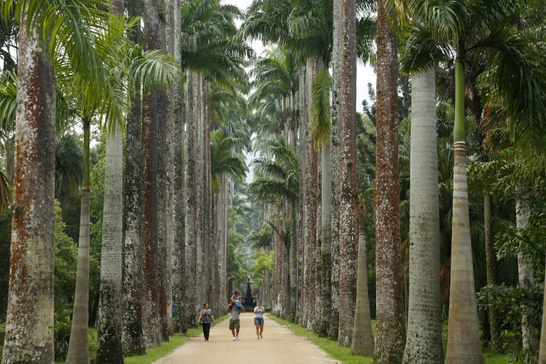 Jardim Botânico, um dos bairros do Rio mais privilegiados pela cobertura vegetal. Foto Yadid Levy/Robert Premium via AFP