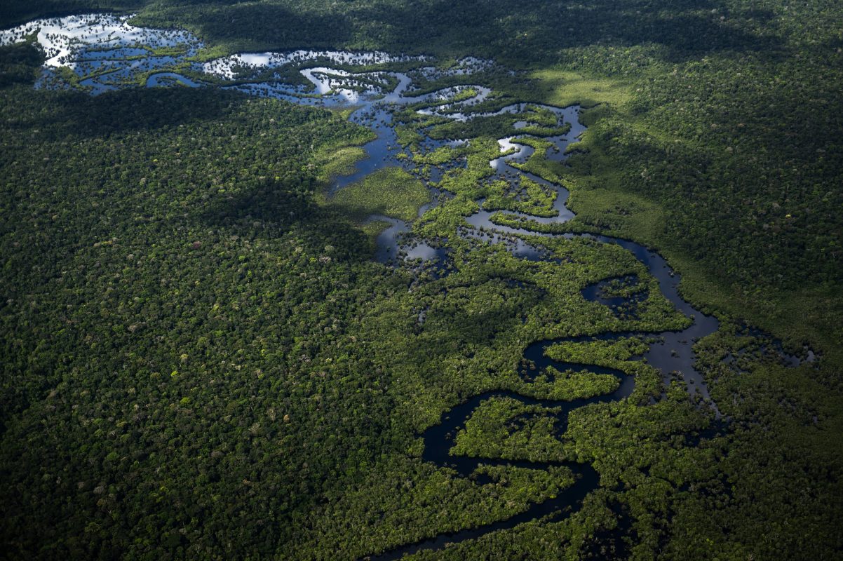Imagem aérea da Floresta Amazônica vista de um avião voando de Manicoré para Manaus. Foto Mauro Pimentel/AFP