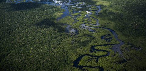 Imagem aérea da Floresta Amazônica vista de um avião voando de Manicoré para Manaus. Foto Mauro Pimentel/AFP