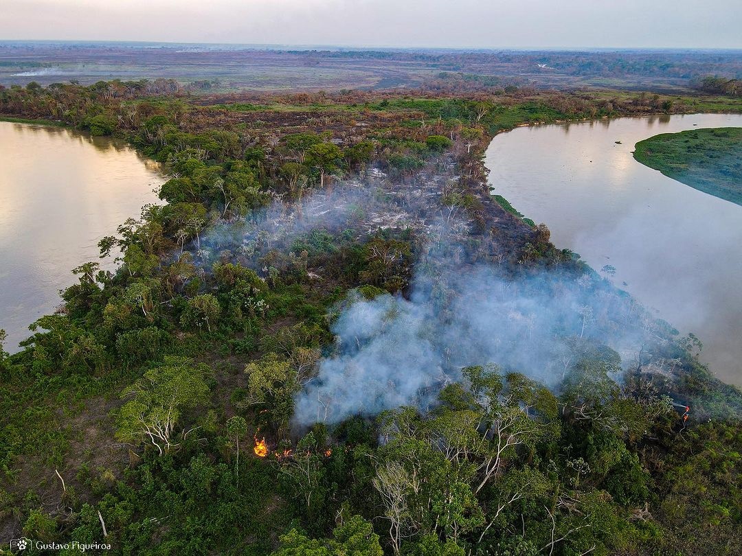 Temperaturas muito altas e falta de um trabalho rigoroso de prevenção contribuem para a disseminação dos incêndios na região. Foto Gustavo Figueiroa/SOS Pantanal