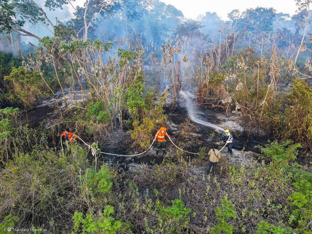 Há mais de três semanas, incêndios afetam o Pantanal Norte e, agora, já chegaram ao Mato Grosso do Sul e à região de Paiaguás. Foto Gustavo Figueiroa/SOSPantanal