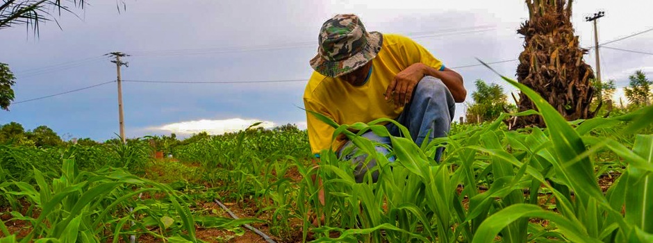 Agricultor familiar no interior de Minas Gerais: quanto menor o acesso à terra, maior é a fome (Foto: Agência Minas / Seapa)