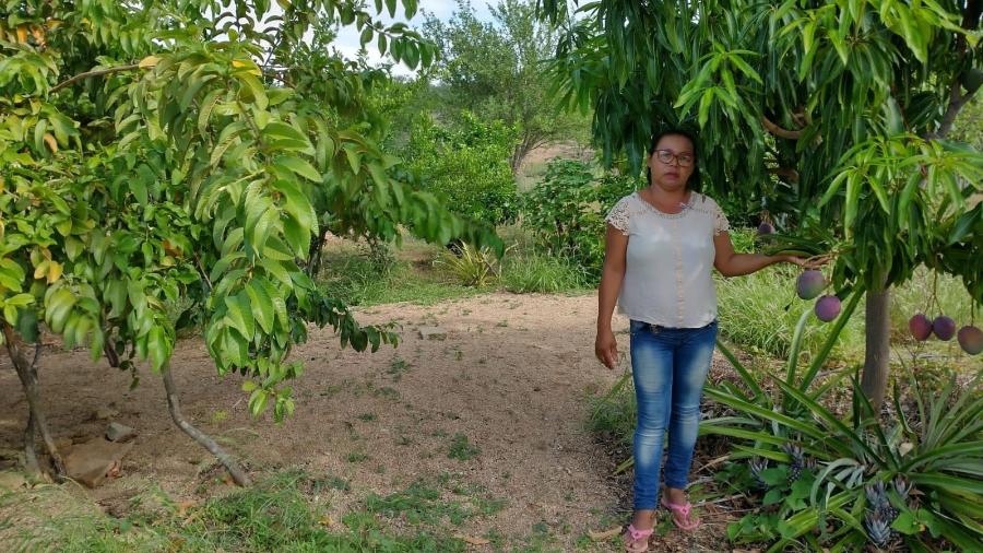 Maria Neves em sua horta em Juazeiro, no semiárido baiano: investimento em agroecologia após conseguir cisterna (Foto: Arquivo Pessoal)