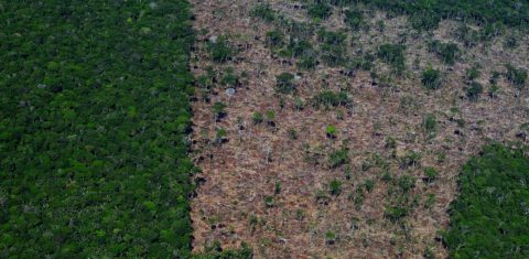 Área de desmatamento no município de Careiro da Várzea, no Amazonas: Governo Lula completa 100 dias e, apesar de ações, devastação da floresta segue avançando (Foto: Alberto César Araújo/Amazônia Real)