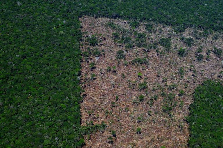 Área de desmatamento no município de Careiro da Várzea, no Amazonas: Governo Lula completa 100 dias e, apesar de ações, devastação da floresta segue avançando (Foto: Alberto César Araújo/Amazônia Real)