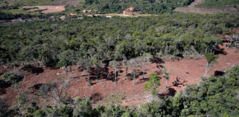 Área devastada de Mata Atlântica em Minas Gerais: texto de MP aprovado na Câmara ameaça bioma e restauração florestal (Foto: SOS Mata Atlântica)