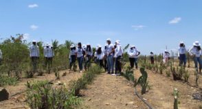 Quilombolas recuperam área de Caatinga no interior de Pernambuco