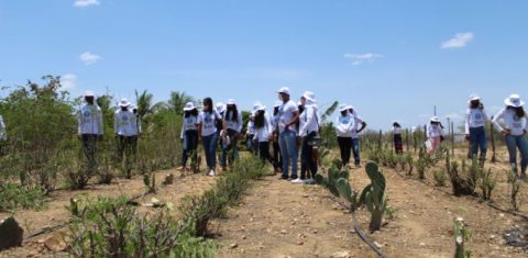 Famílias reunidas para plantio de espécies nativas em áreas desmatadas da Caatinga: quilombolas restauram bioma no sertão de Pernambuco (Foto: Ong Chapada / Divulgação)