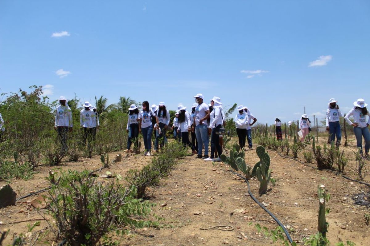 Famílias reunidas para plantio de espécies nativas em áreas desmatadas da Caatinga: quilombolas restauram bioma no sertão de Pernambuco (Foto: Ong Chapada / Divulgação)