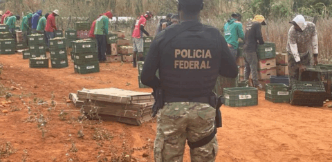 Operação com agentes federais e procuradores liberta trabalhadores em condições análogas à escravidão no interior de Minas: Demora na regulamentação da PEC do Trabalho Escravo favorece o crime (Foto: DPF / Divulgação - 28/07/2022)