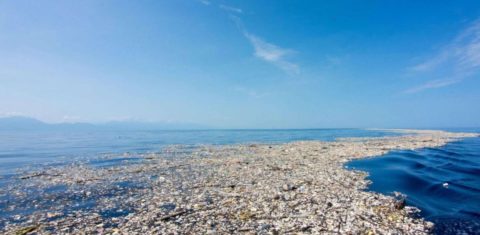 Grande Mancha de Lixo do Pacífico: plástico acumulado está fornecendo um lar para as espécies costeiras prosperarem no meio do oceano, afirmam pesquisadores (Foto: Ocean Cleanup)