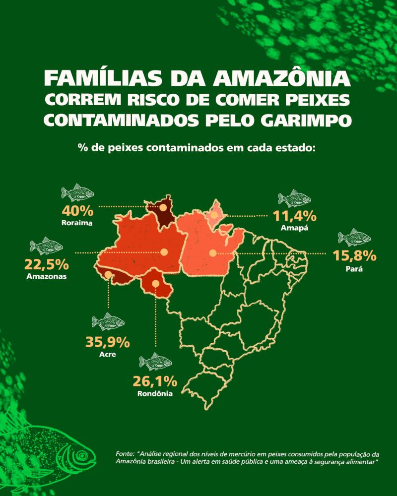 Estados da Amazônia com risco de contaminação por mercúrio nos peixes (Arte: ISA)