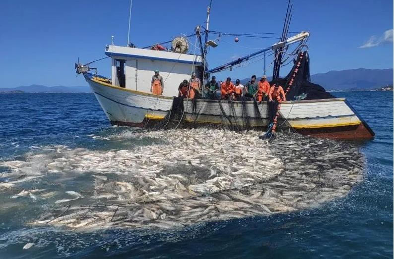 Embarcação apreendida no combate à pesca ilegal da corvina: pescado ameaçado por falta de monitoramento e controle (Foto: PM Ambiental de Santa Catarina)