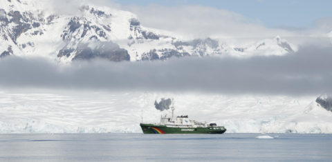 Navio de pesquisa do Greenpeace na Ilha Anvers, na Antártica: pesquisa mostra que, com degelo, correntes marinhas profundas vão desacelerar mais rapidamente provocando impactos no clima e no nível do mar e ameaçando animais marinhos (Foto: Greenpeace)