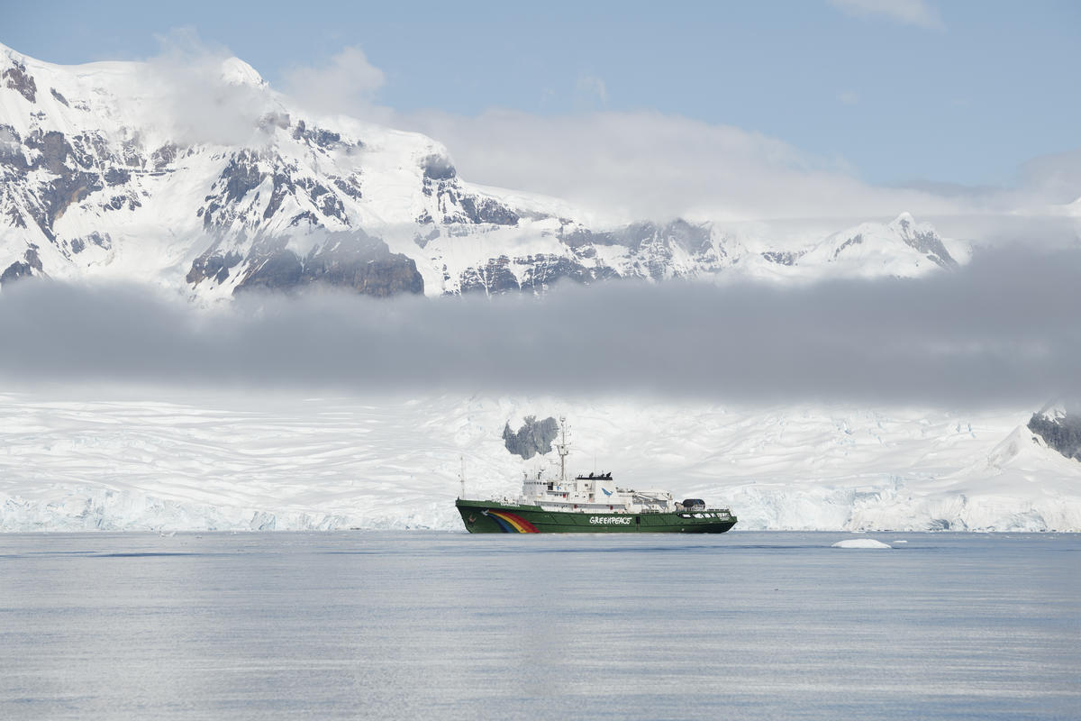Navio de pesquisa do Greenpeace na Ilha Anvers, na Antártica: pesquisa mostra que, com degelo, correntes marinhas profundas vão desacelerar mais rapidamente provocando impactos no clima e no nível do mar e ameaçando animais marinhos (Foto: Greenpeace)