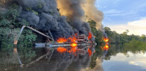 alsas de garimpeiros destruídas em operação do Ibama e da Polícia Federal: estudo mostra faturamento de mais de R$ 1 milhão por mês em cada atividade garimpeira (Foto: Divulgação/Ibama)