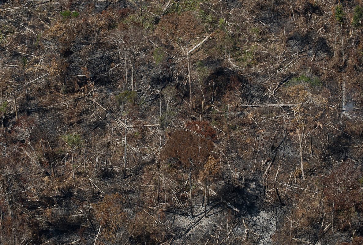 Área devastada próximo à Floresta Nacional do Jacunda ,em Rondonia. no oeste da Amazônia, onde o desmatamento avança descontroladamente: aumento de 122% na emissão de gases com Bolsonaro (Foto: Bruno Kelly / Amazônia Real - 07/08/2020)
