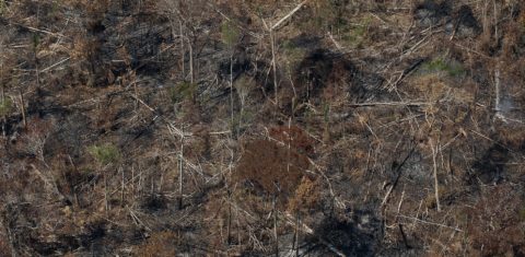 Área devastada próximo à Floresta Nacional do Jacunda ,em Rondonia. no oeste da Amazônia, onde o desmatamento avança descontroladamente: aumento de 122% na emissão de gases com Bolsonaro (Foto: Bruno Kelly / Amazônia Real - 07/08/2020)