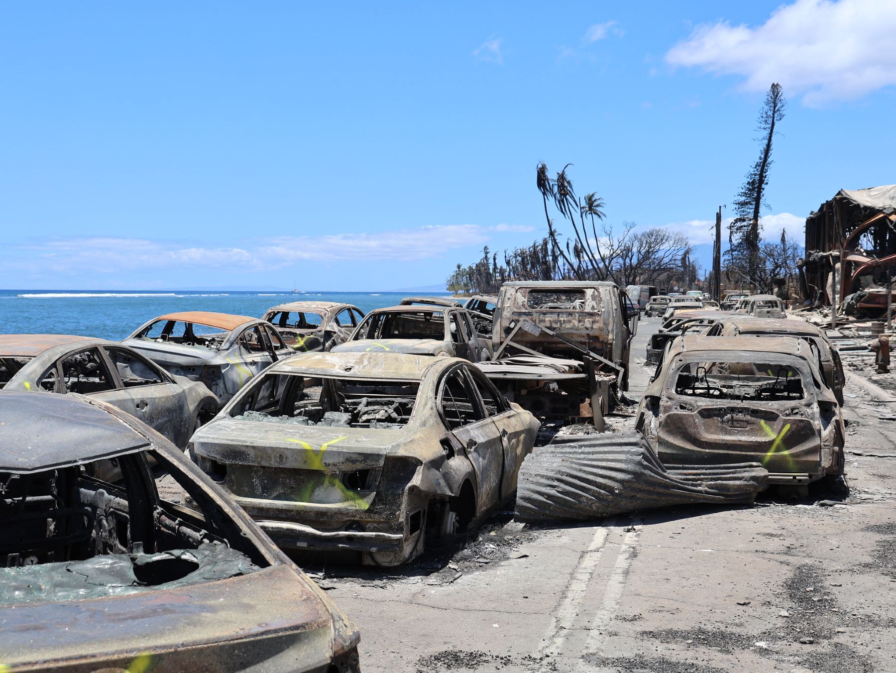 Carros queimados pelo incêndio na orla da ilha de Maui: pessoas pularam na água para fugir do fogo (Foto: Governo do Havaí)