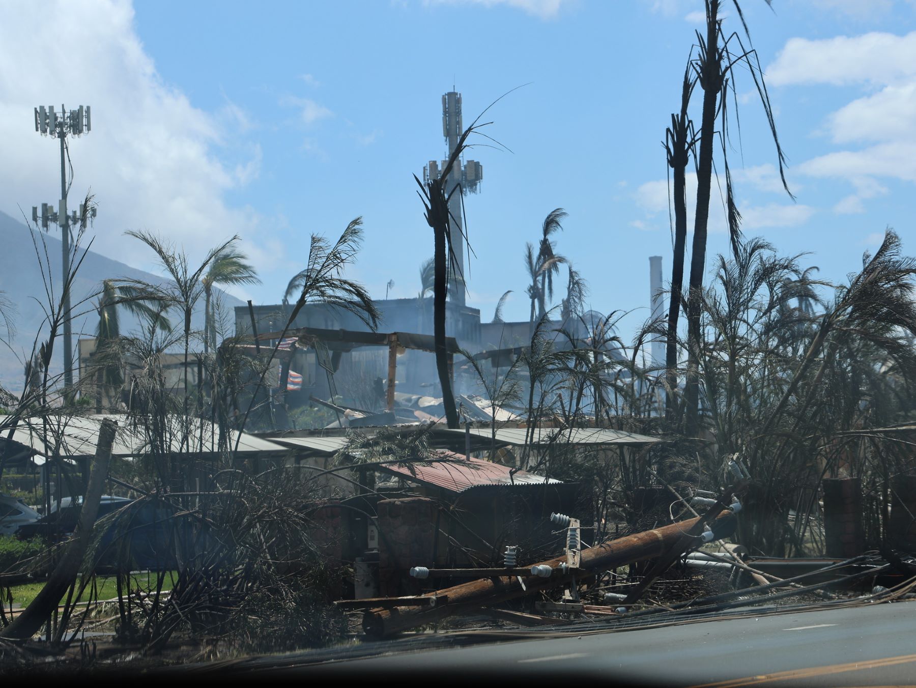 Casas e árvores destruídas pelo fogo no Havaí: centenas de famílias desabrigadas, moradores sem energia e água potável (Foto: Governo do Havaí)