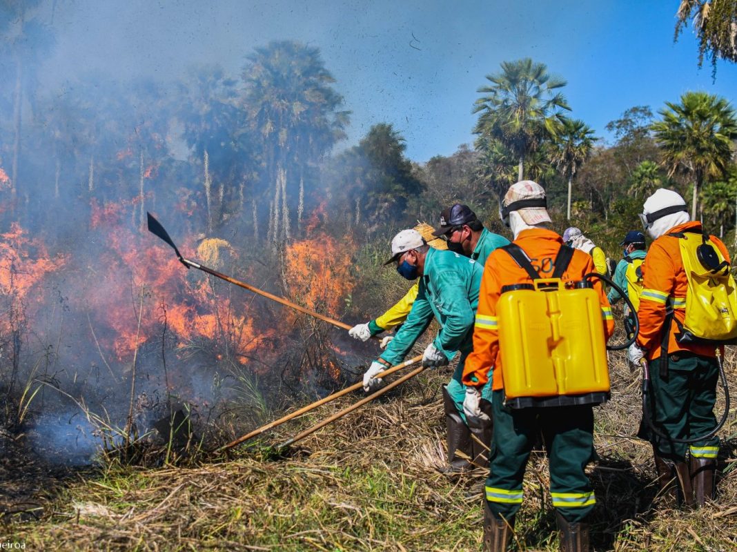 Brigadas Pantaneiras no combate ao fogo: iniciativa mobiliza população do bioma para participar de ações de prevenção para evitar que focos de incêndio tomem grandes proporções (Foto: Gustavo Figueroa / SOS Pantanal)