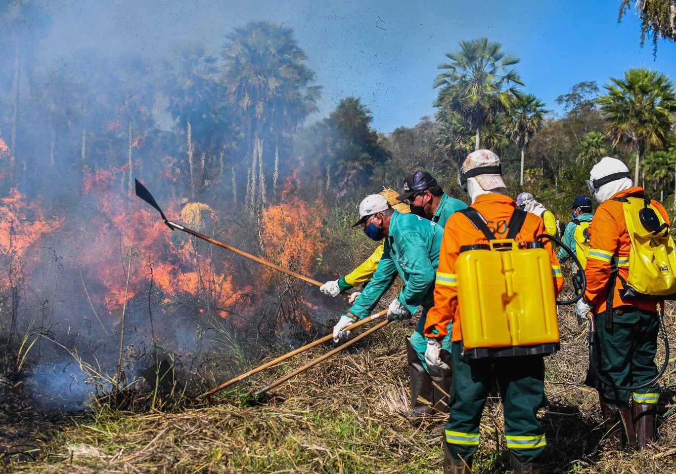 Brigadas Pantaneiras no combate ao fogo: iniciativa mobiliza população do bioma para participar de ações de prevenção para evitar que focos de incêndio tomem grandes proporções (Foto: Gustavo Figueroa / SOS Pantanal)