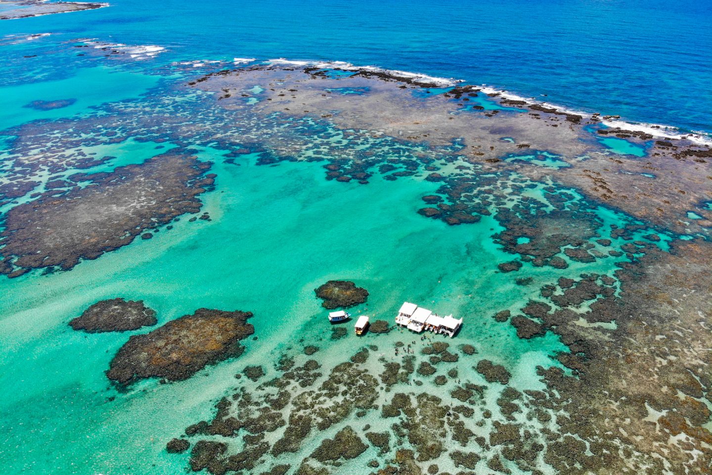 Recifes no litoral de Alagoas na Área de Proteção Ambiental da Costa dos Corais: pesquisa revelou contaminação de rios (Foto: Rafael Munhoz / ICMBio)