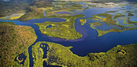 Labirinto de águas onde o Rio Cuiabá encontra-se com o Paraguai, no Pantanal: livro mostra origens de um bioma de múltiplas facetas (Foto: Mario Friedlander / Divulgação)