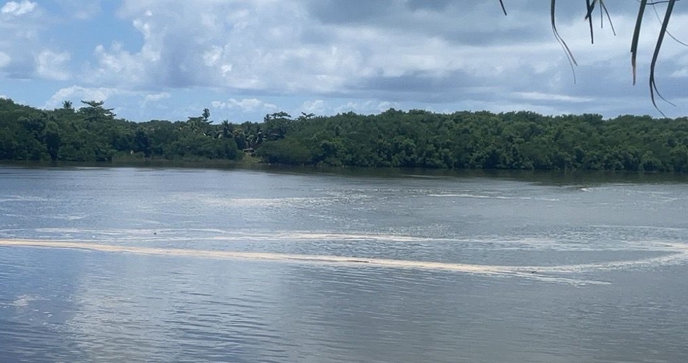 Espuma nas águas do Santo Antônio: além de pesticidas, níveis de potássio e fósforo elevados (Foto: Emerson Soares / Arquivo Pessoal)
