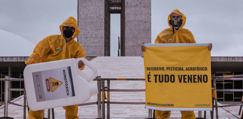 Ativistas do Greenpeace fazem protesto contra agrotóxicos no Congresso Nacional: Lula vetou trecho do PL do Veneno que limitava ação de Ibama e Anvisa (Foto: Bárbara Cruz / Greenpeace)